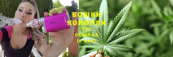 PSILOCYBIN Беломорск