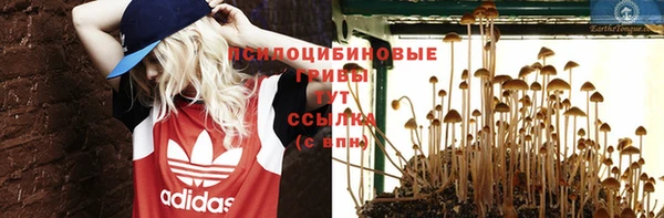 PSILOCYBIN Беломорск