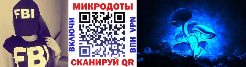 Галлюциногенные грибы Psilocybine cubensis  Семикаракорск 